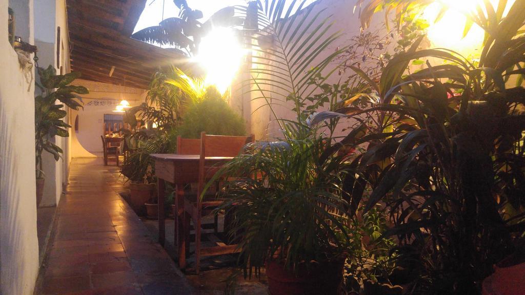 Casa Nica Leon Hostel المظهر الخارجي الصورة
